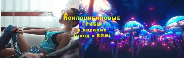 индика Бронницы