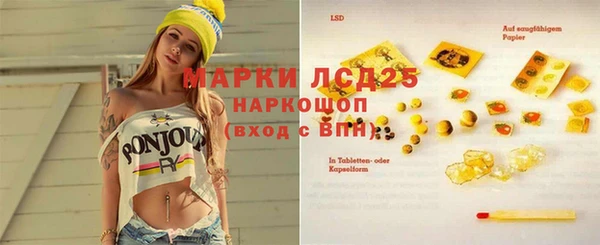 прущие грибы Баксан