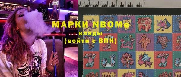 прущие грибы Баксан