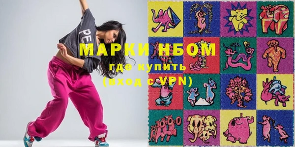 индика Бронницы