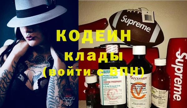 гидра Арсеньев