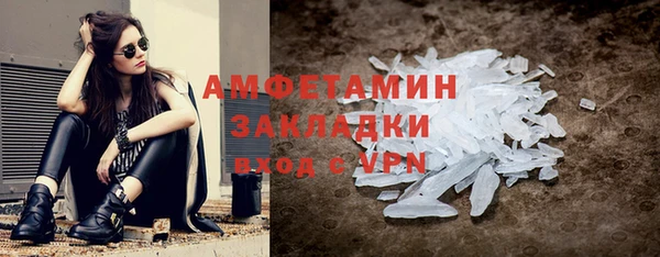 индика Бронницы