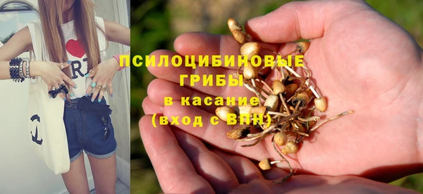 2c-b Балахна