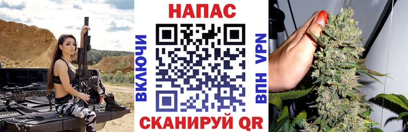 Конопля конопля  как найти   Радужный 